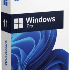 Windows 11 Pro 64-bit (Pack)